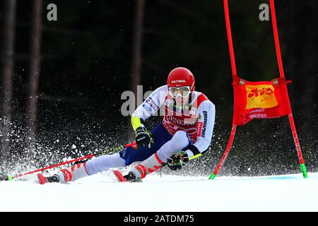 Garmisch Partenkirchen, Allemagne . 02 février 2020. Zan Kranjec, de Slovénie, se présente au cours de la course de slalom géant de la coupe du monde de ski alpin Audi FIS le 02 février 2020 à Garmisch-Partenkirchen, en Allemagne. Crédit : Cal Sport Media/Alay Live News Banque D'Images