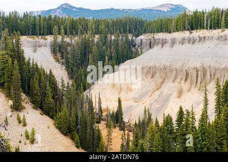 Canyon entouré d'une forêt de pins près d'Annie Falls près du lac Crater Banque D'Images