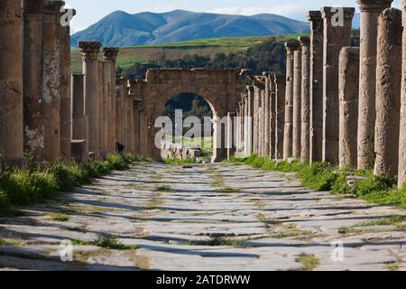 Vestiges du village de Cuicul dans les ruines romaines anciennes de Djemilla, site classé au patrimoine mondial de l'UNESCO dans le nord de l'Algérie. Banque D'Images