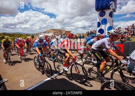 Geelong, Australie. 02 février 2020. 2 février 2020: Geelong, AUSTRALIE - 2 FÉVRIER 2020: Les coureurs atteignent le sommet du Croissant de Challambra au cours de la course de chemin Cadel Evans de 2020 crédit: Chris Putnam/ZUMA Wire/Alay Live News crédit: Zuma Press, Inc./Alay Live News Banque D'Images