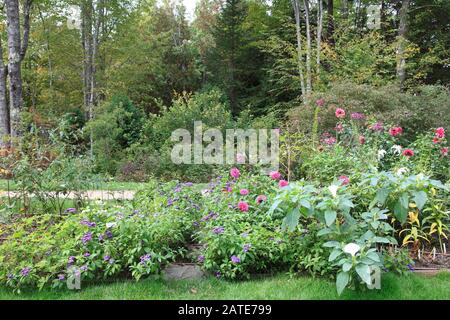 Thuya Garden, Northeast Harbour, Mount Desert Island, Maine, Nouvelle-Angleterre, États-Unis Banque D'Images