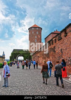 Les habitants de la Tour et de la porte d'entrée du château de Wawel à Cracovie Banque D'Images