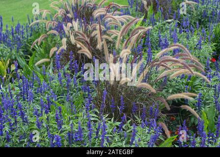 Un bel arrangement de jardin pendant le Federal Garden Show allemand Banque D'Images