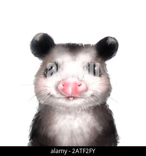 Portrait d'opossum en blanc. Animal mignon Banque D'Images