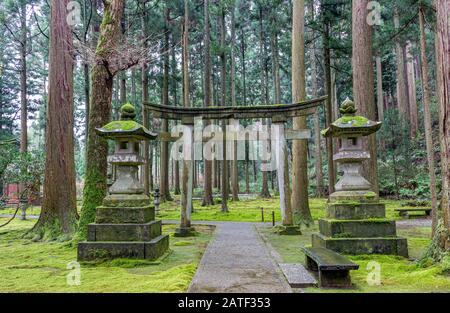 Sanctuaire Hiyo, dans la forêt de Sagesse, Komatsu, Ishikawa, Japon. Banque D'Images