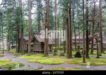 Sanctuaire Hiyo, dans la forêt de Sagesse, Komatsu, Ishikawa, Japon. Banque D'Images