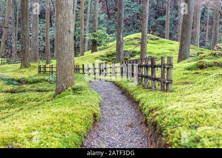 Hiyo Moss Garden dans la forêt de Sagesse, Komatsu, Ishikawa, Japon. Banque D'Images