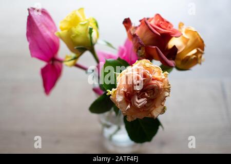 fleur douce prise de vue du dessous avec peu de profondeur de champ sur la table Banque D'Images