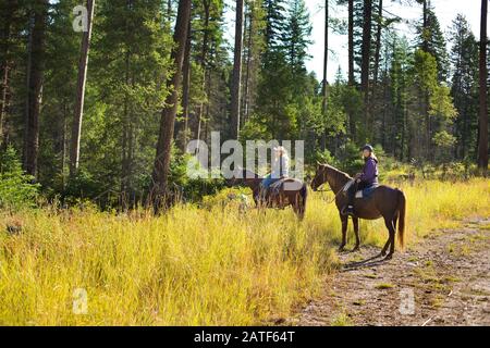 Équitation dans Montana,États-Unis Banque D'Images