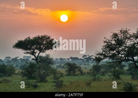 Paysage avec lever de soleil dans le Parc National du Serengeti, site du patrimoine mondial de l'UNESCO, Tanzanie, Afrique