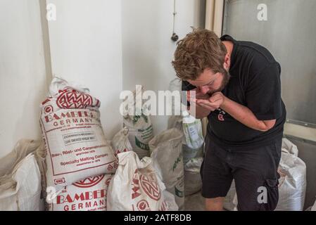 Préparez de la bière à Vorkamp Brewery, Hagen-Dahl, Allemagne Banque D'Images