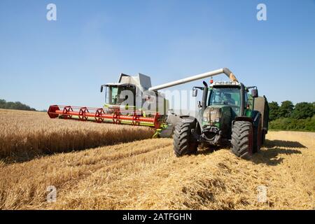 Moissonneuse-batteuse et tracteur récoltent ensemble un jour d'été. Beaucoup Hadham, Hertfordshire. ROYAUME-UNI Banque D'Images