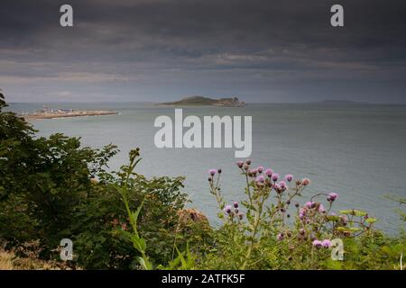 Ireland's Eye Island prise de Howth, Dublin, Irlande Banque D'Images