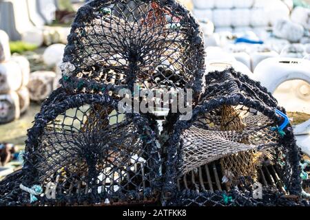 Une marmite de crabe se trouve sur un quai en début de matinée Banque D'Images