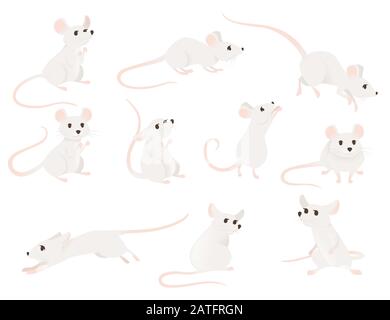 Ensemble de souris grise dans différentes poses mignonne petite animal mammifère illustration vectorielle plate isolée sur fond blanc Illustration de Vecteur