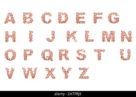Lettres de l'alphabet branches avec feuilles et baies fleurs botaniques style floral art design élément plate illustration vectorielle Illustration de Vecteur