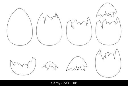 Ensemble de coquilles d'œufs entières et de coques fissurées ou cassées illustration vectorielle plate isolée sur un style de contour blanc d'arrière-plan Illustration de Vecteur