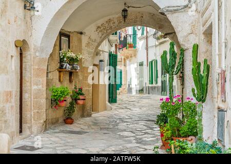 Vue panoramique d'été à Monopoli, province de Bari, Pouilles (Pouilles), sud de l'Italie. Banque D'Images