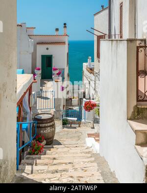 Vue panoramique à Peschici, beau village dans la région du Gargano des Pouilles (Pouilles), Italie. Banque D'Images