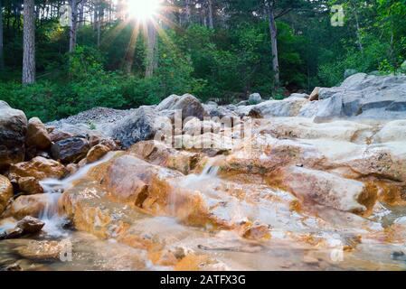 Rayons du soleil dans une forêt de pins dans un ruisseau de montagne de Crimée.Yalta. Banque D'Images