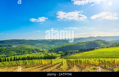 Radda in Chianti vignoble et panorama au coucher du soleil en automne. Toscane, Italie l'Europe. Banque D'Images