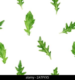 Illustration de l'aquarelle des feuilles d'arugula, modèle sans couture. Banque D'Images