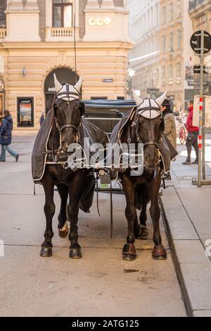 Fiaker (chariot tiré à cheval) à Vienne, Autriche Banque D'Images