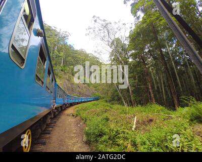 Le train de passagers avec les touristes passe à travers le vert la jungle du Sri Lanka. Banque D'Images