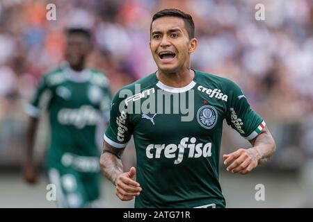 Braganca Paulista, Brésil. 02 février 2020. Dudu dans le match. L'équipe Red Bull Bragantino accueille Palmeiras pour le championnat de football Paulista 2020. Le match a eu lieu au stade Nabi Abi Chedid, à Bragança Paulista. Dimanche 2 février 2020. Crédit: Foto Arena Ltda/Alay Live News Banque D'Images