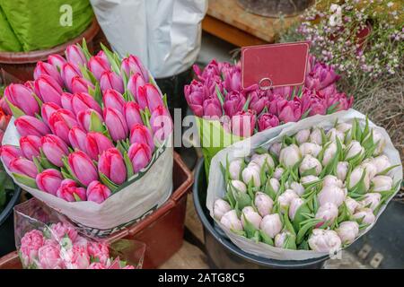 Vue de dessus au bouquet de tulipes roses, blanches et pourpres fleuris enveloppent avec du papier dans le panier au fleuriste. Tulipes fleuries à vendre devant le fleuriste. Banque D'Images