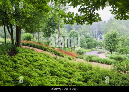 Rouge Astilbe 'Jump and Jive', mauve Nepeta - fleurs de menthe dans des frontières mixtes avec des sentiers de paillis au début de l'été, le jardin de François, Qc. Banque D'Images