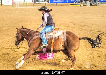 Cowgirl dans une course de tonneau. Banque D'Images