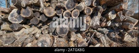 Brindilles recyclées, combustible, branches d'arbres, tas de bois de chauffage, bois de chauffage Banque D'Images
