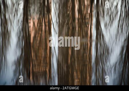 Reflet urbain : bâtiments et arbres reflétés dans une flaque d'eau en mouvement Banque D'Images