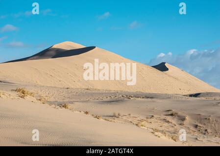 D'immenses dunes de sable s'élèvent à partir de paysages désertiques secs. Les lignes de crête incurvées créent de belles ombres naturelles. Lieu Mojave National Preserve En Californie Banque D'Images