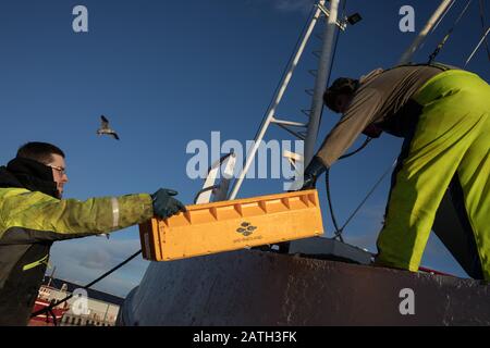 Scènes autour du port de Peterhead, à Peterhead, en Écosse, le 27 janvier 2020. Banque D'Images