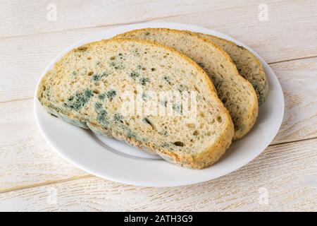 Tranches de pain rassis avec mildiou vert sur une soucoupe blanche au-dessus d'une table en bois blanc. Pain gâté avec moule. Champignon moldy sur pain pourri. Vue de face. Banque D'Images