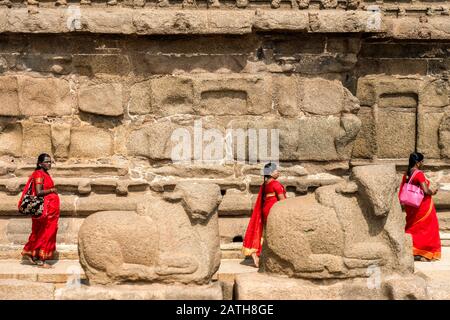 Trois pèlerins hindous en rouge visitant Mahabalipuram près de Chenai. D'une série de photos de voyage en Inde du Sud. Date De La Photo: Mardi 7 Janvier 2020. P Banque D'Images