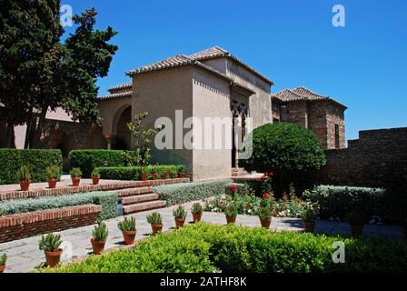 De jolis jardins avec la Torre de Maldonado du Palais Nasrid au château de Malaga à l'arrière, Malaga, province de Malaga, Espagne. Banque D'Images