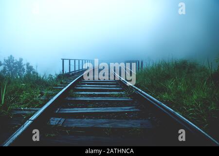 Pont ferroviaire à travers la forêt verte sombre de jungle, Ella Sri Lanka Banque D'Images