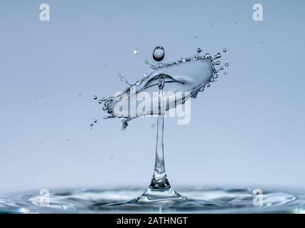 Les gouttes d'eau forment des sculptures transparentes fascinantes sous forme de champignons ou de parapluie lorsqu'elles tombent dans l'eau, des gouttes et des éclaboussures se ferment Banque D'Images