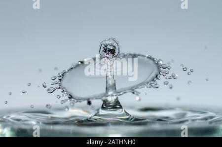 Les gouttes d'eau forment des sculptures transparentes fascinantes sous forme de champignons ou de parapluie lorsqu'elles tombent dans l'eau, des gouttes et des éclaboussures se ferment Banque D'Images