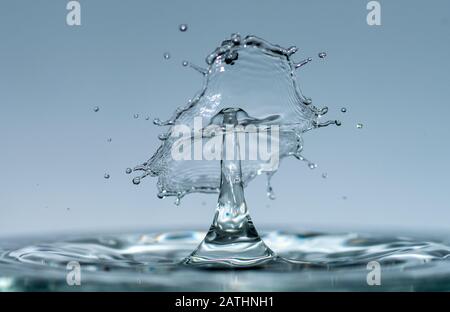 Les gouttes d'eau forment des sculptures transparentes fascinantes sous forme de champignons ou de parapluie lorsqu'elles tombent dans l'eau, des gouttes et des éclaboussures se ferment Banque D'Images