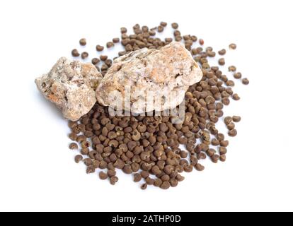 Abelmoschus moschatus ou Ambrette Seed avec Ambergris naturel. Isolé sur fond blanc Banque D'Images