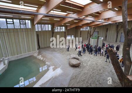 Augsbourg, Allemagne. 3 février 2020. Les visiteurs visitent la nouvelle maison d'éléphant. Crédit: Karl-Josef Hildenbrand/Dpa/Alay Live News Banque D'Images