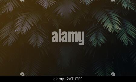 Fond vert foncé de feuilles de palmier dans l'environnement tropical Banque D'Images