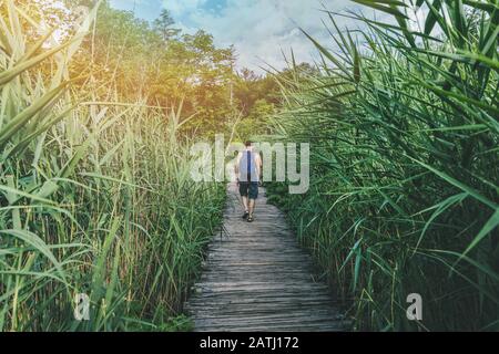 les gens marchant sur le pont de pied en bois à travers les longues roseaux. croatie plitvice Banque D'Images