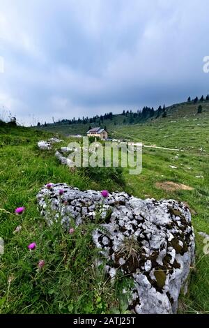 Malga Zebio. À cet endroit se trouve le roman de la Grande Guerre "Un anno sull'altopiano" d'Emilio Lussu. Asiago, Italie. Banque D'Images