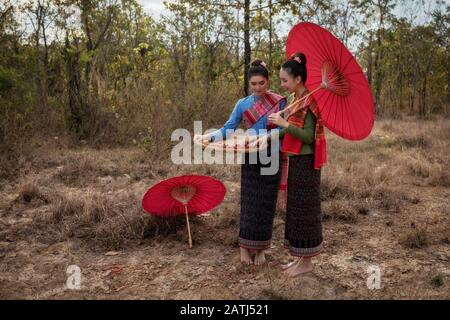 Thaïlande. Deux belles femmes, elles récoltent du piment et portent une robe traditionnelle Esan Banque D'Images