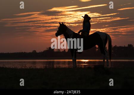 Silhouette de cowboy, montez à cheval au coucher du soleil Banque D'Images